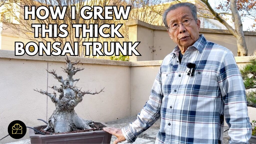 How to Grow a Thick-Trunk Bonsai Over 50 Years (Long-Term Strategy)