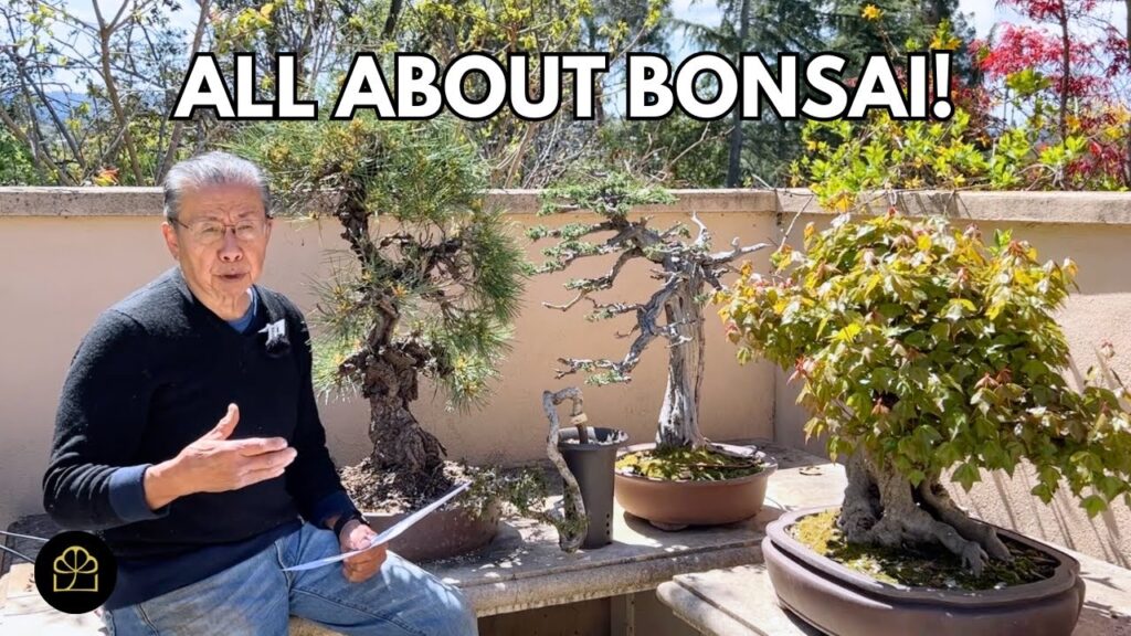 Bonsai Styling & Shaping: Clip & Grow + Inspiration (Q&A)
