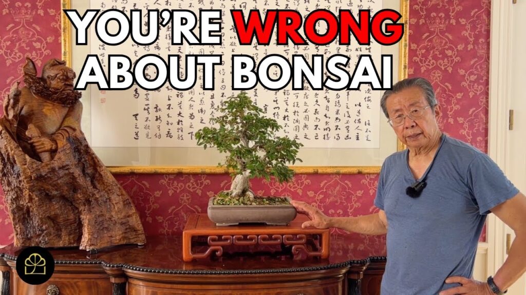 Bonsai Misconceptions: Debunking 6 Common Myths