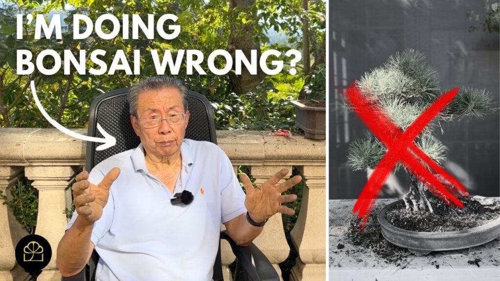 Bonsai Rules: Why Traditional Bonsai Rules Don’t Matter (Sometimes)