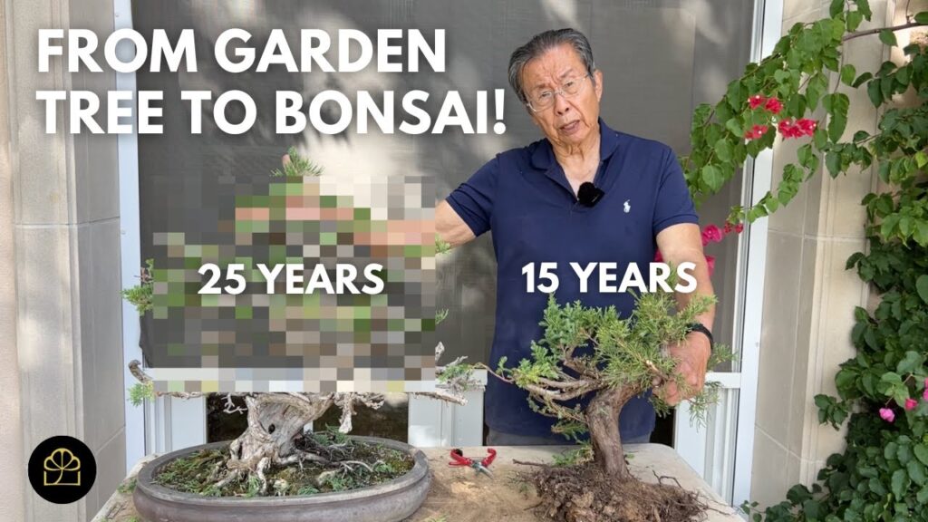 Beginner Bonsai: Turn Any Garden Tree into Bonsai (Step-by-Step)