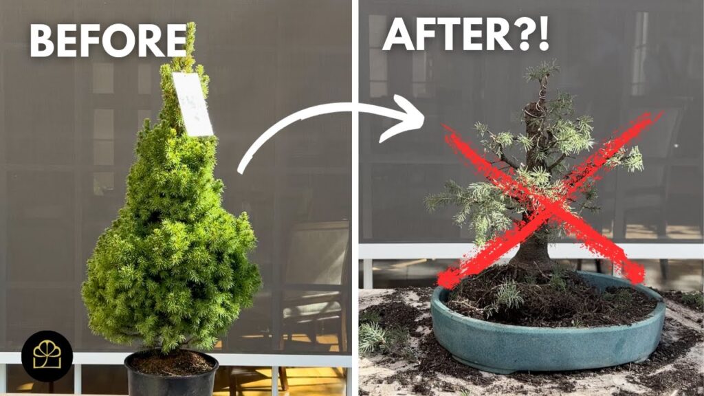 Did Milton Cut Too Much? How to Recover from Over-Pruning (Q&A)