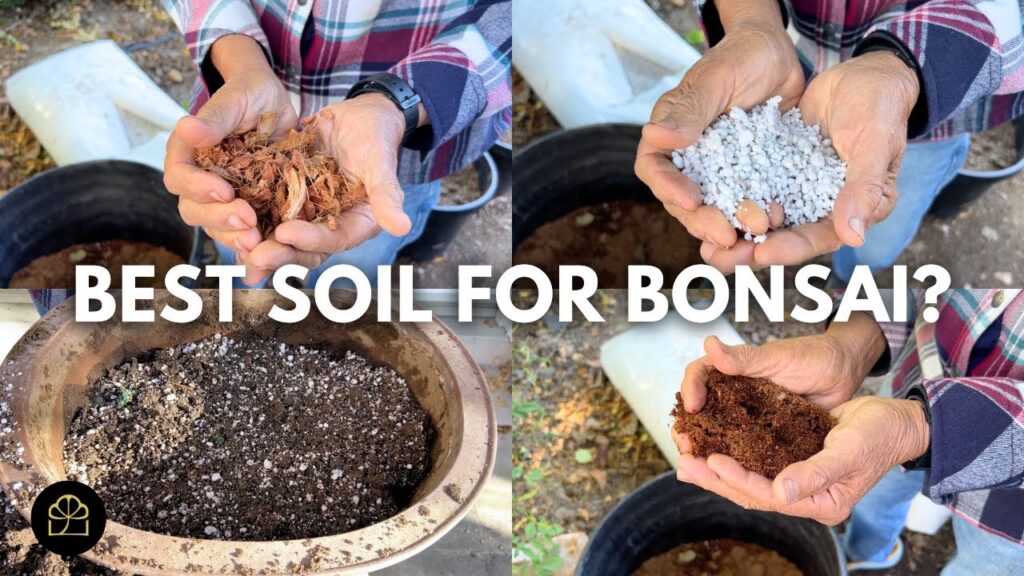Best Bonsai Soil Components: What to Use for Healthy Roots (Q&A)