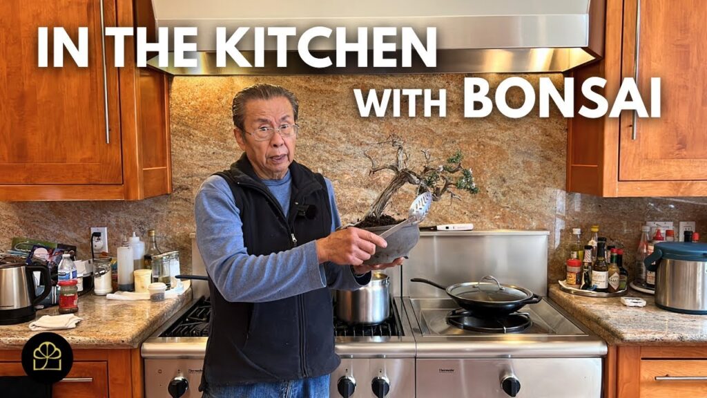 Rosemary Bonsai: How to Make a Culinary Bonsai Tree