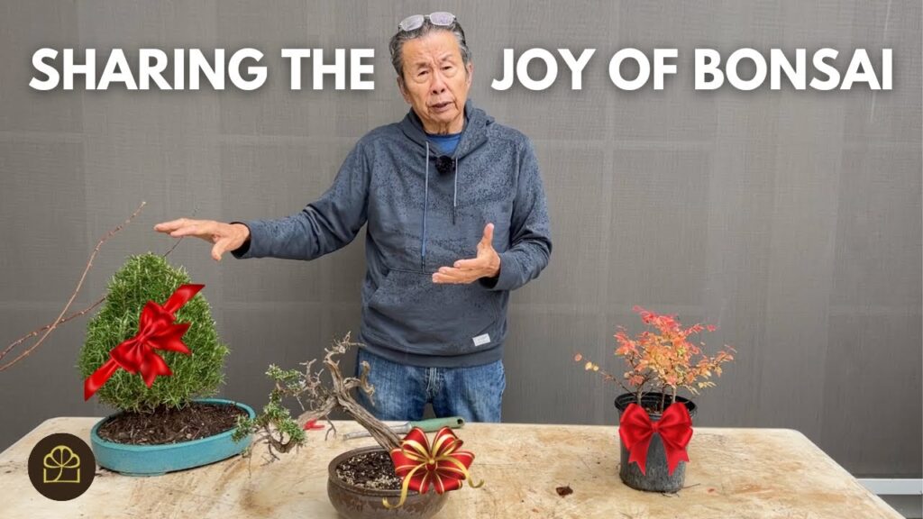Bonsai Gift Ideas: Making Bonsai Gifts for Friends and Family