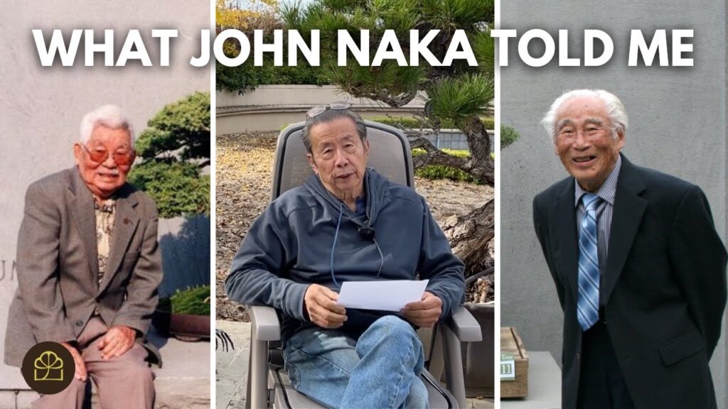 How to Become a Bonsai Master (Q&A)