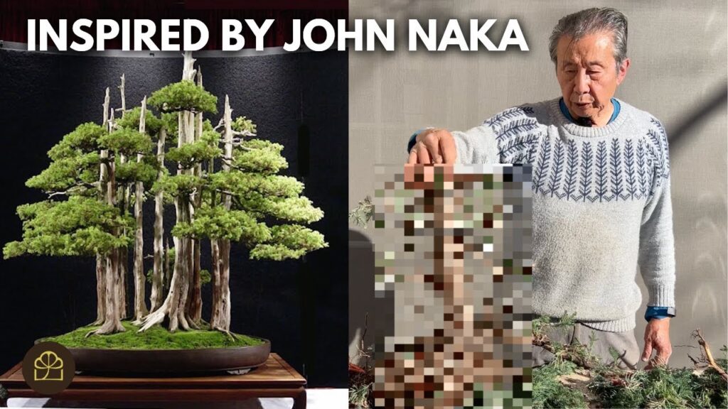 Giant Bonsai Forest Heirloom Project (Part 2)