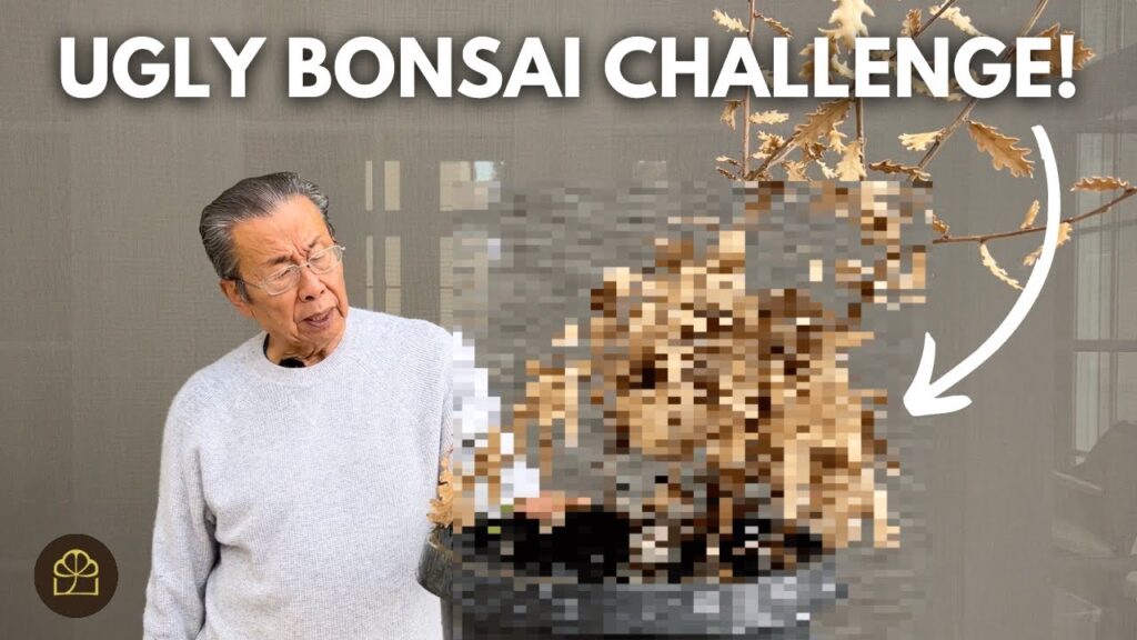 Ugly Tree to Beautiful Bonsai: Complete Transformation
