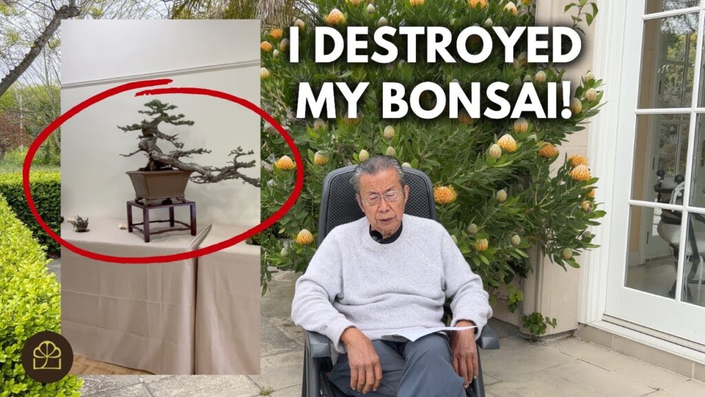 John Naka and Milton’s First Show Bonsai: Lessons Learned (Q&A)