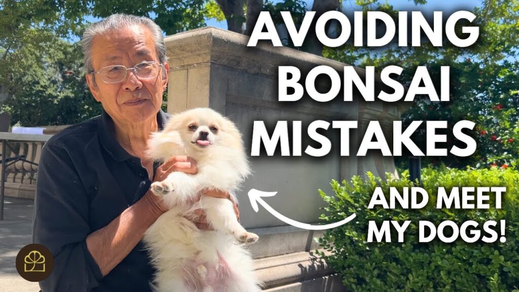 How to Avoid Mistakes in Bonsai (Beginner-Proof Checklist)