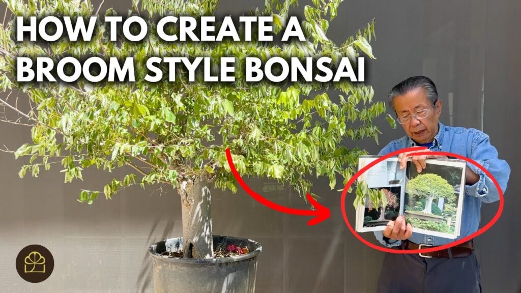 Broom Style Bonsai Tutorial (Inspired by Kyuzo Murata)