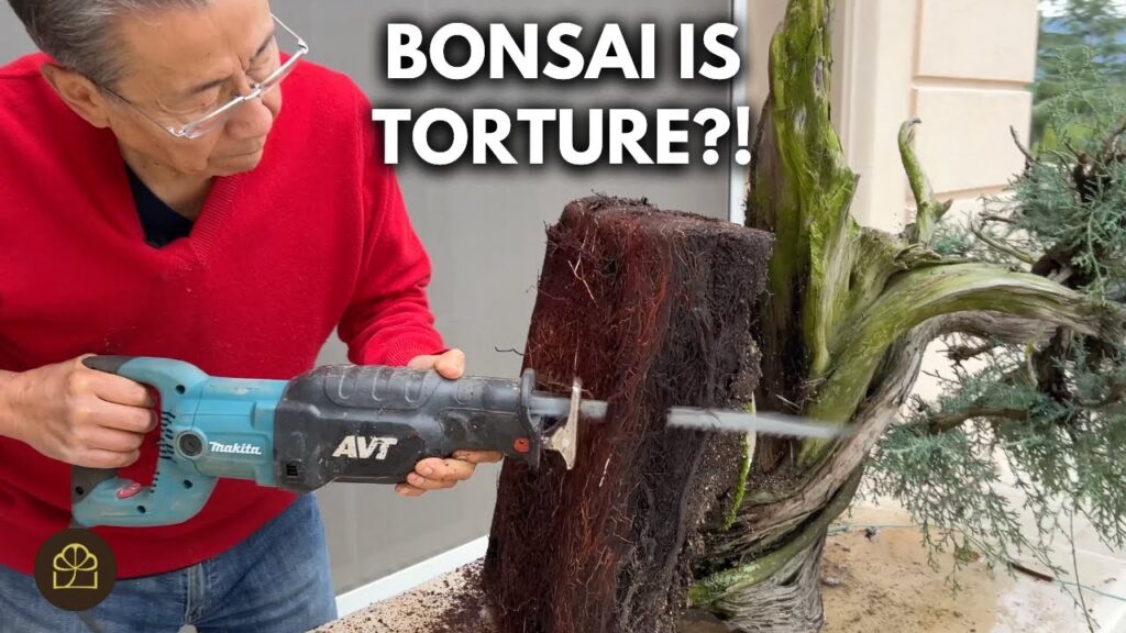 Is Bonsai Cruel? The Ethics and Nature of Bonsai Art