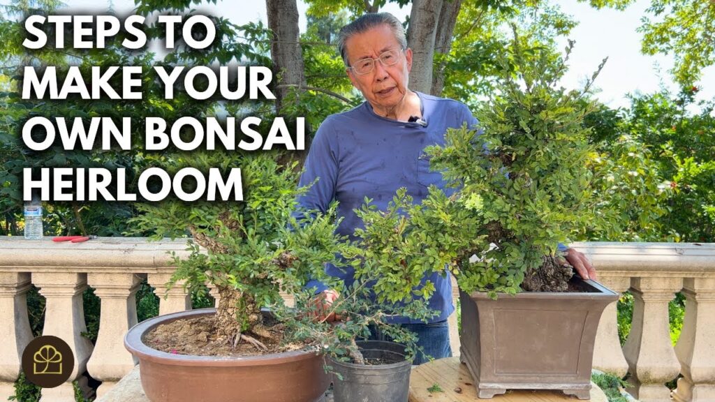 Chinese Elm Bonsai Styles: 3 Sizes, 3 Looks (Step-by-Step)