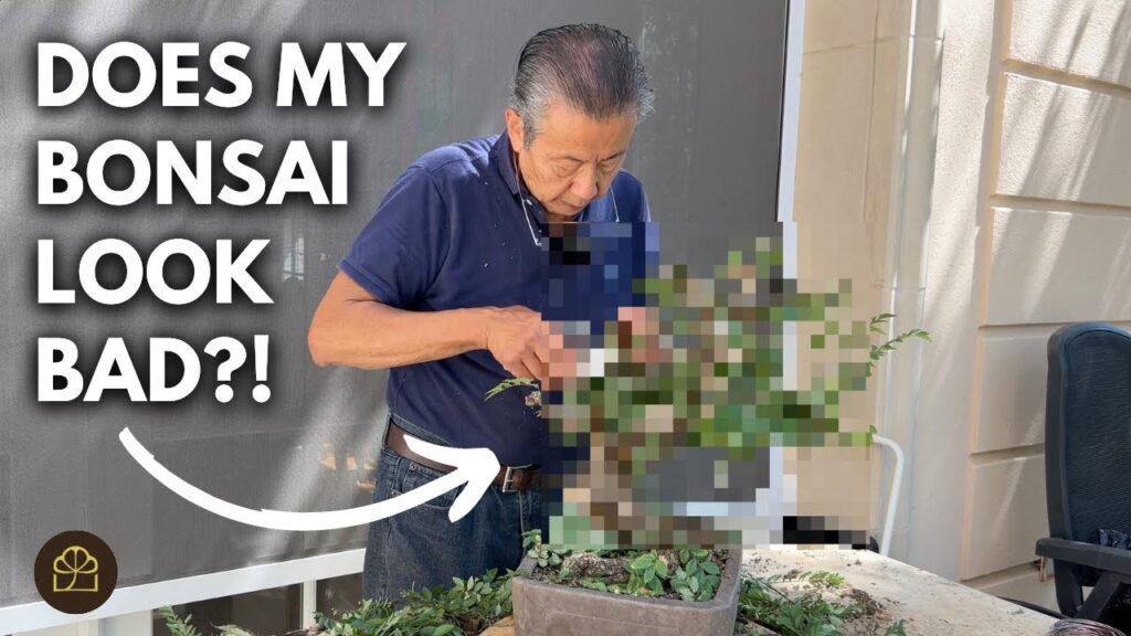 Bonsai Ramification Explained: How to Build Fine Branching