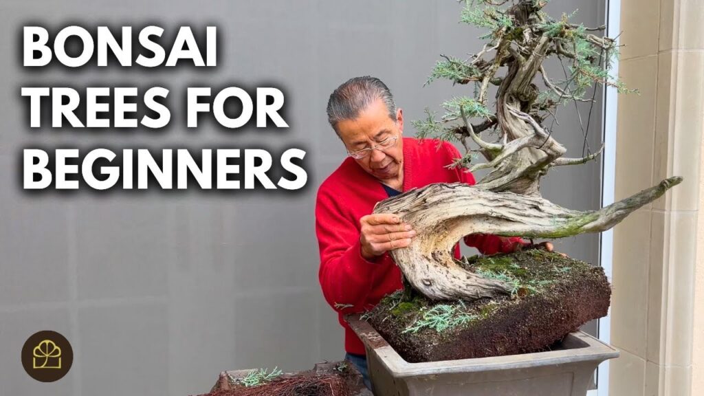 How to Start a Bonsai Tree (Beginner Step-by-Step)