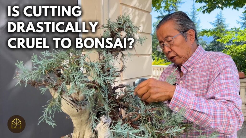 Does a PhD Help with Bonsai? Science Behind Better Bonsai