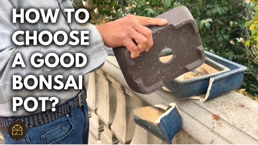 How to Choose a Good Bonsai Pot (Good vs Bad Pots Explained)