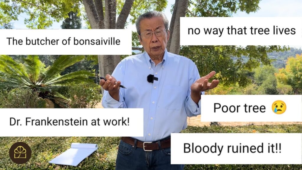Bonsai Drastic Cuts: Why Hard Pruning Works (and When to Do It)