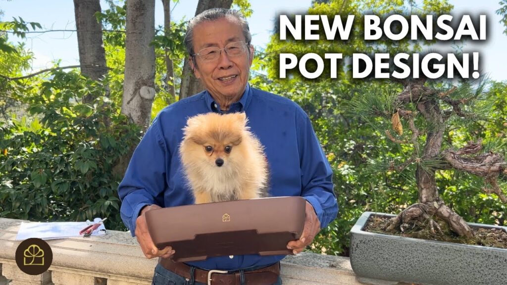 Modern Bonsai: Reinventing the Ancient Art