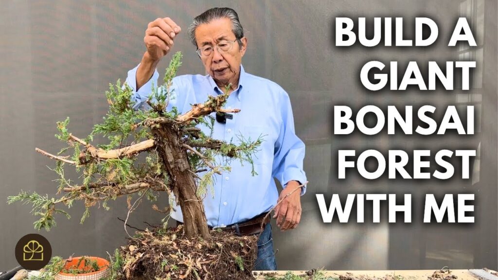 Giant Bonsai Forest Build: Step-by-Step (Part 4)