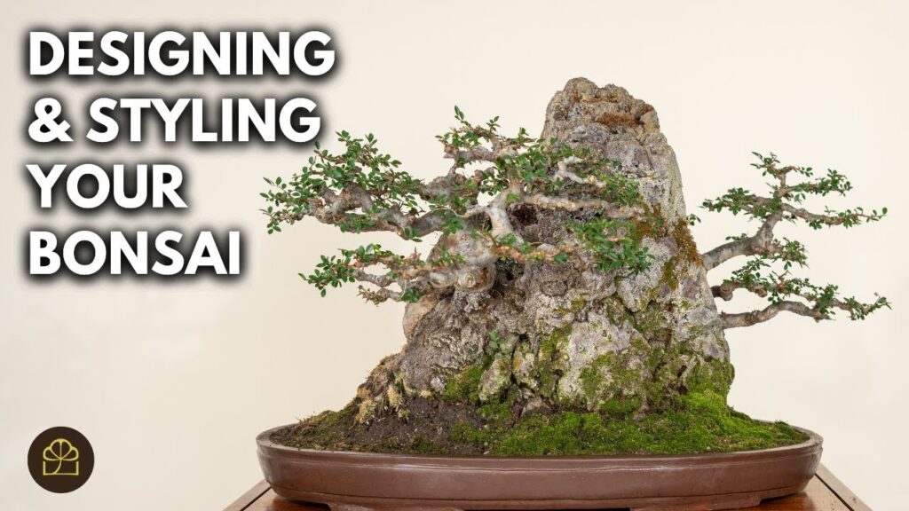 Bonsai Styling Ideas: Creating Better Bonsai Designs