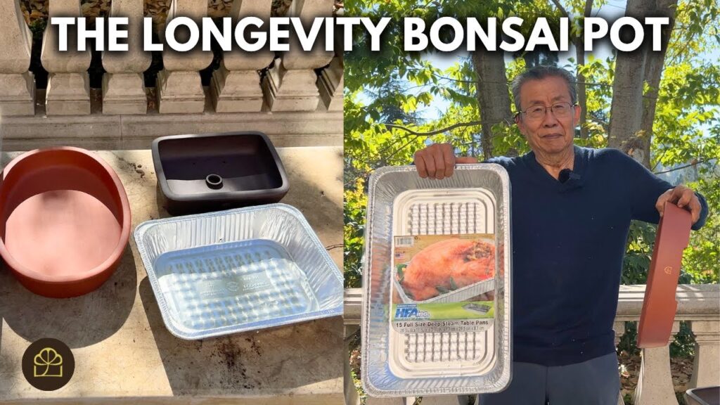 How to Keep Bonsai Watered While on Vacation (No Dry-Out Methods)
