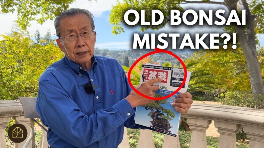Fixing Bonsai Mistakes: Correcting a 500-Year-Old Bonsai Error