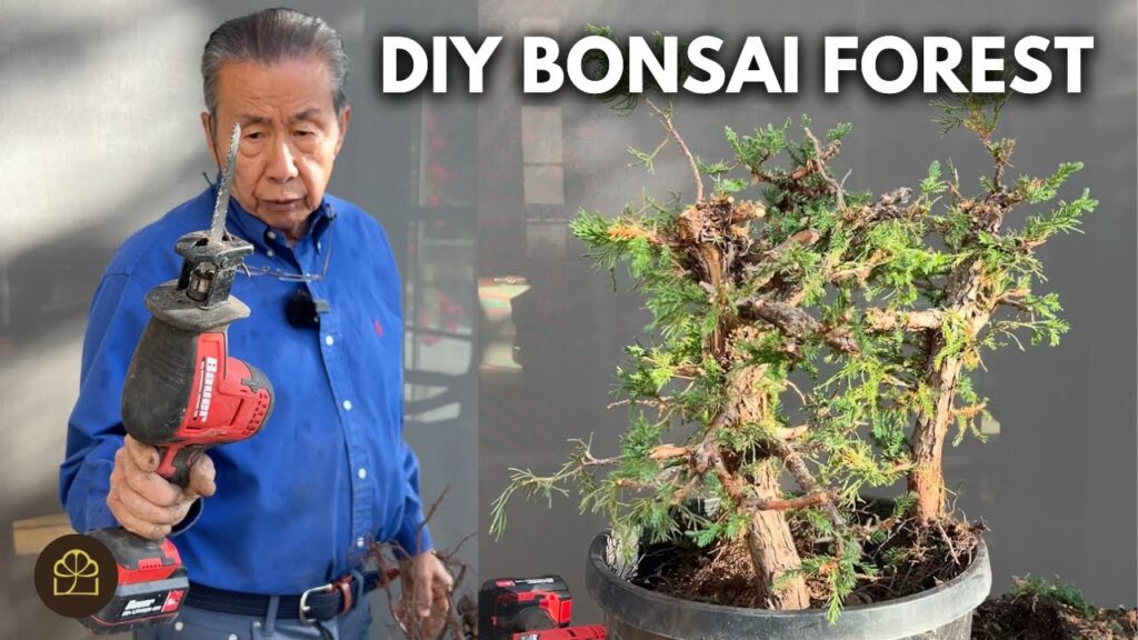 Juniper Bonsai Forest: Giant Bonsai Forest Build (Part 5)