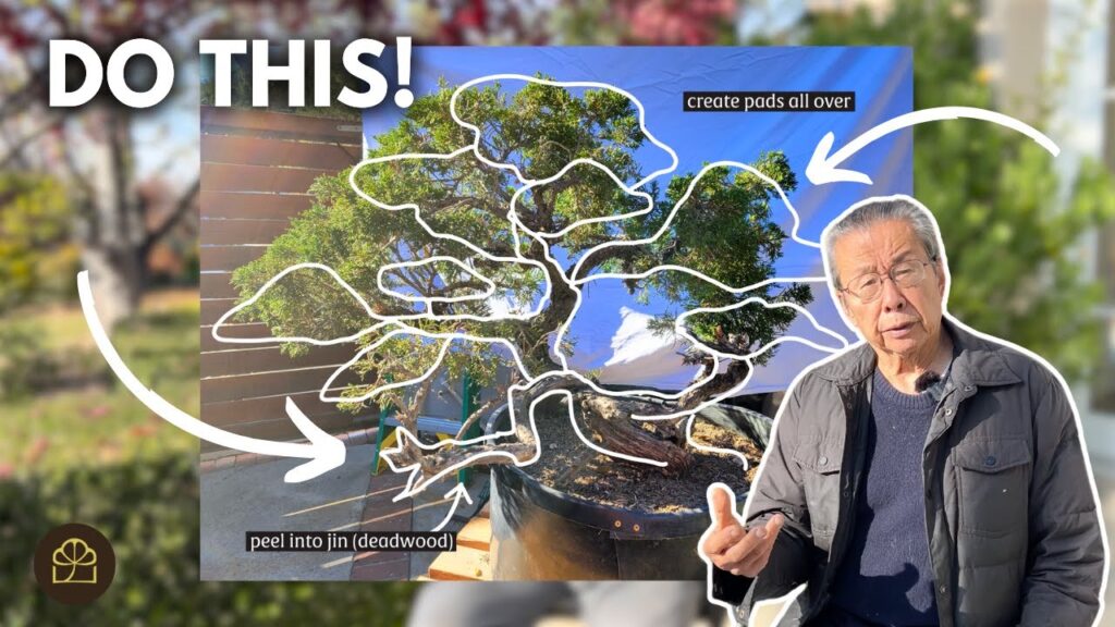 Turn Any Garden Tree into Bonsai (Step-by-Step)