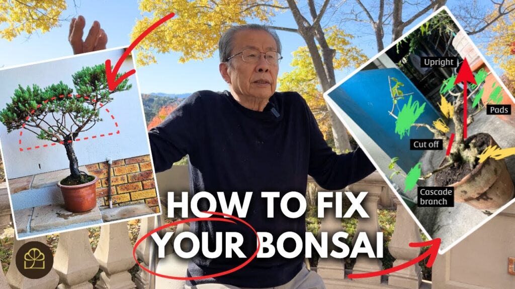 Bonsai Expert Reacts: Fixing Common Bonsai Mistakes