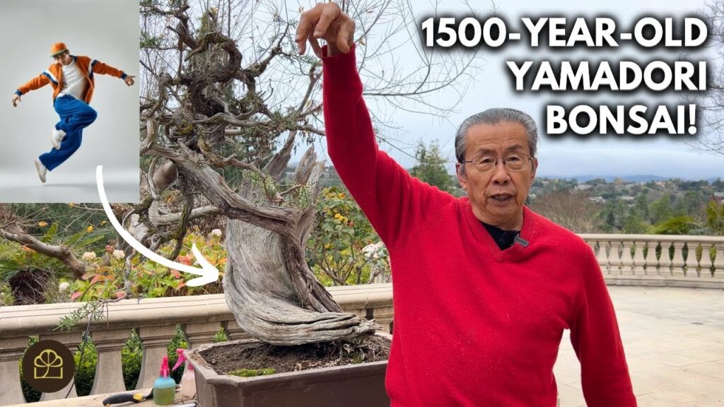 Is There a “Right Way” to Do Bonsai? What Actually Matters