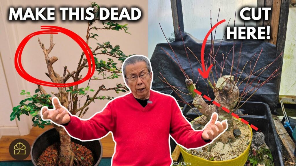 Bonsai Design Brainstorming: Styles and Ideas