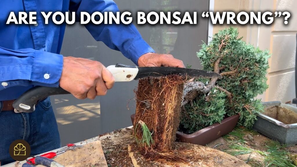 Traditional vs Modern Bonsai: Which Approach Is Best?