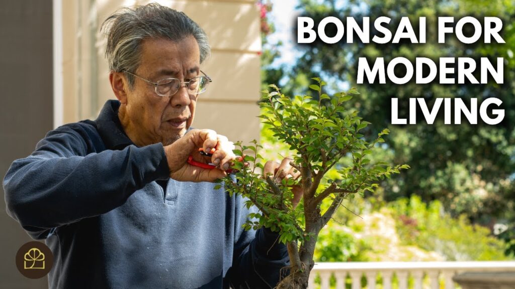 Bonsai Benefits: How Bonsai Reduces Stress and Brings Calm