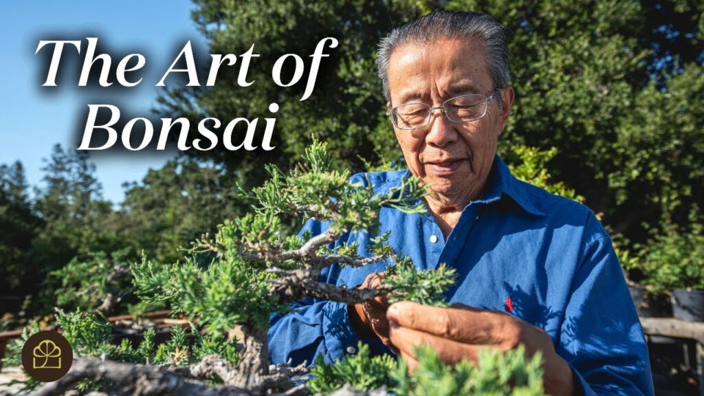 Welcome to Bonsai Heirloom!