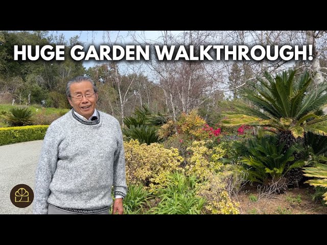 Spring Garden Tour 2025: Milton’s Oldest Bonsai and Garden Inspiration
