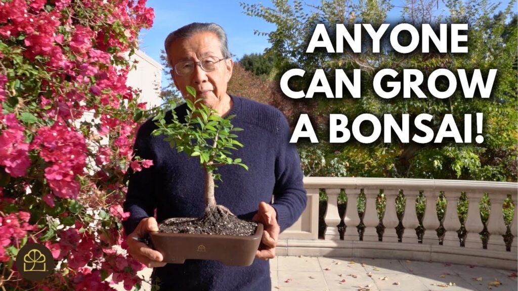 Bonsai Lifestyle: How to Fit Bonsai Into Your Life