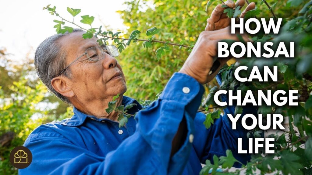 Bonsai Benefits: 6 Lesser-Known Reasons to Start Bonsai