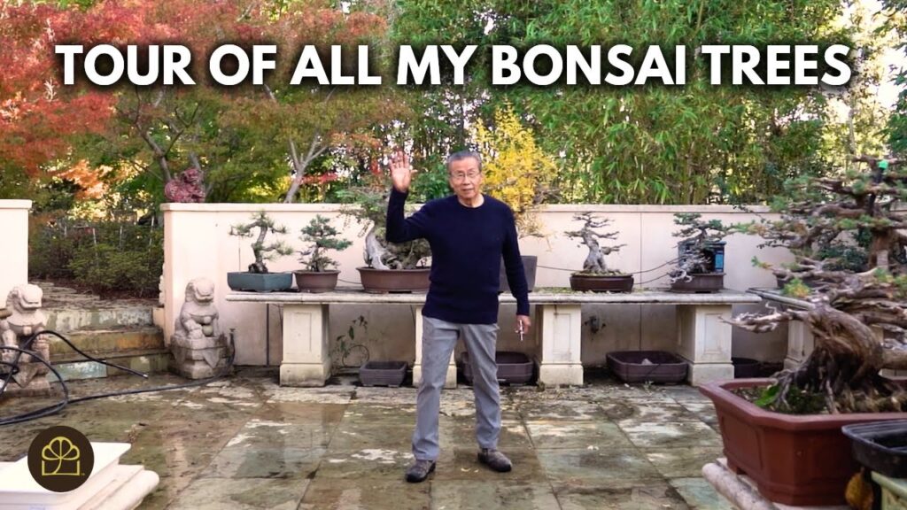 Milton’s Bonsai Collection Tour (Spring 2025 Update)