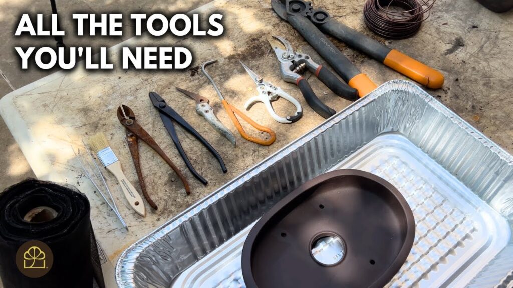 Essential Bonsai Tools: Complete Beginner Toolkit