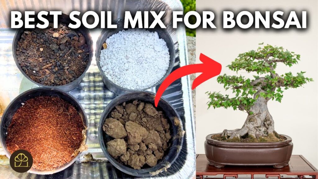 Best Bonsai Soil Mix for Fast Growth (Recipe + Components)
