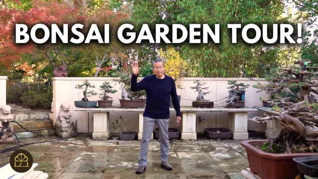 Milton’s Bonsai Garden Tour (Spring 2025 Update)