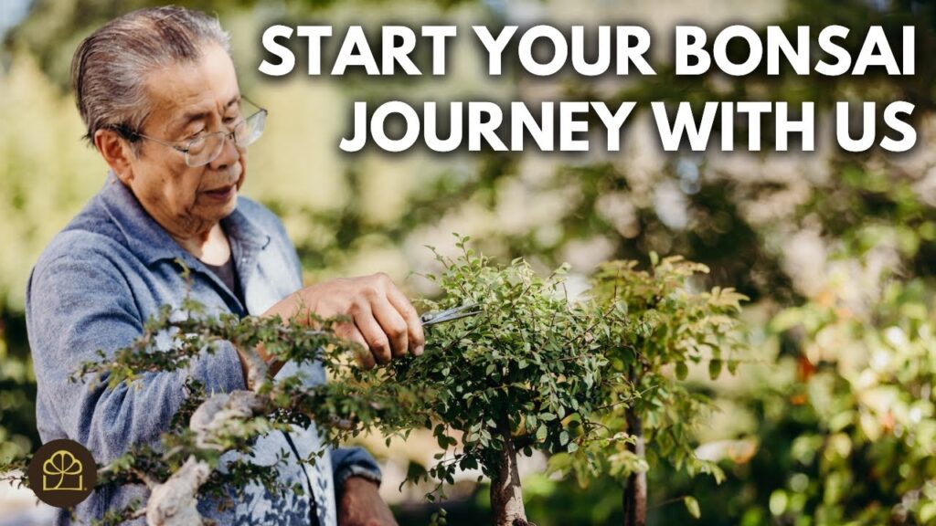 Bonsai 101 – Series Introduction