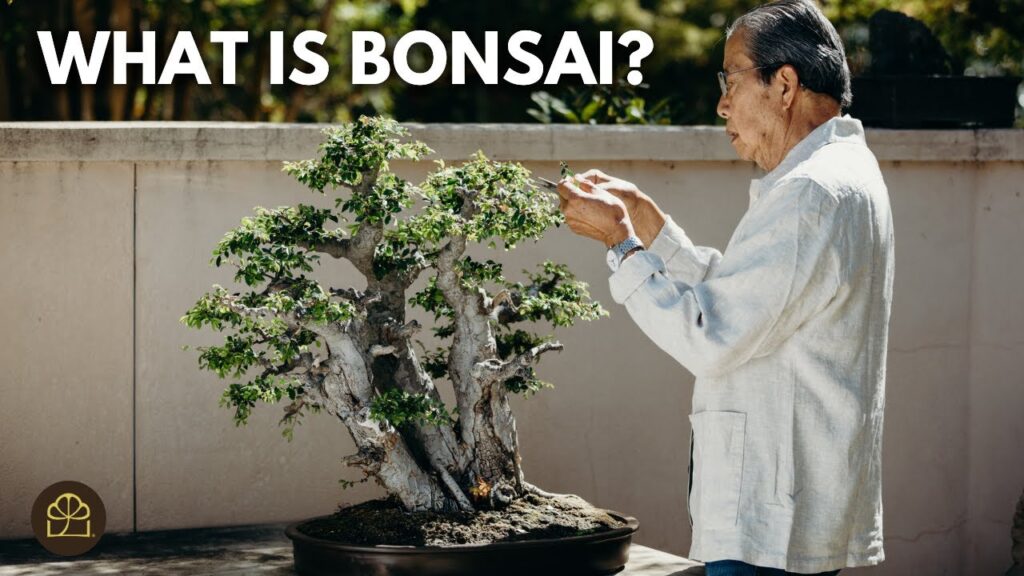 Bonsai 101 – Chapter 2: The Meaning of Bonsai (Past, Present, and Future)