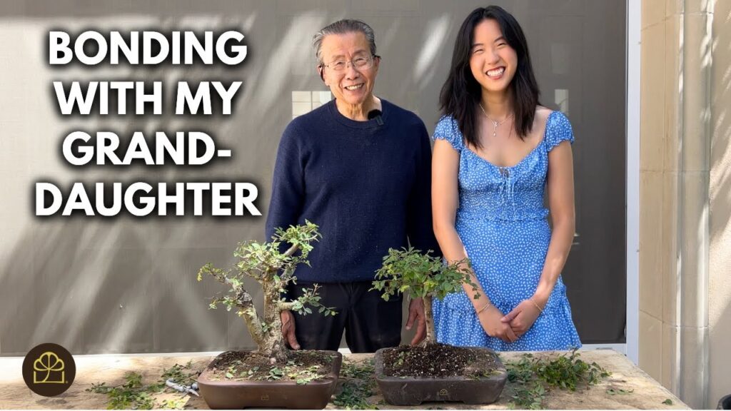 Chinese Elm Bonsai for Beginners: First Styling Lesson