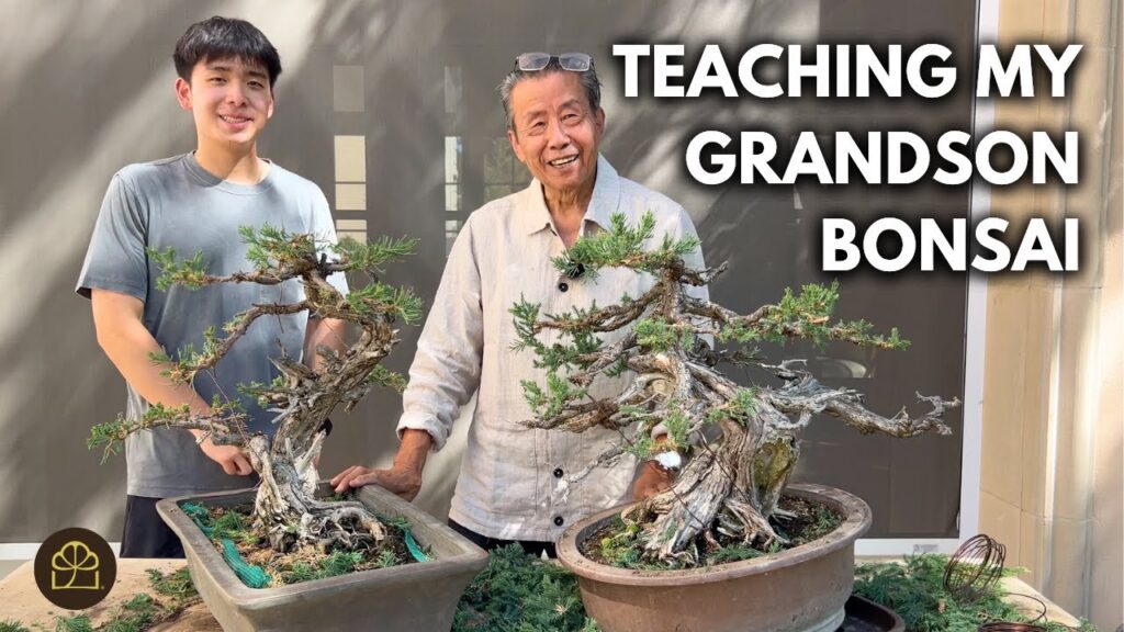 Juniper Bonsai Pruning Guide (Step-by-Step)