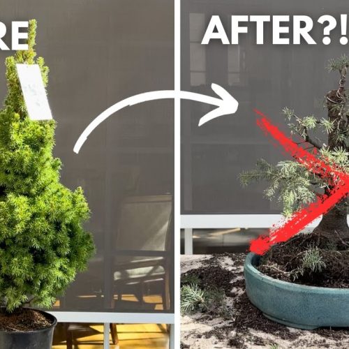 Did Milton Cut Too Much? How to Recover from Over-Pruning (Q&A)