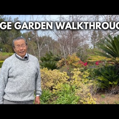 Spring Garden Tour 2025: Milton’s Oldest Bonsai and Garden Inspiration