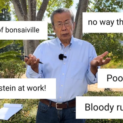 Bonsai Drastic Cuts: Why Hard Pruning Works (and When to Do It)