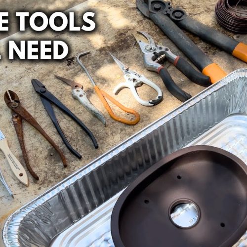 Essential Bonsai Tools: Complete Beginner Toolkit